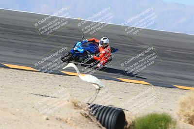 media/Jan-14-2024-SoCal Trackdays (Sun) [[2e55ec21a6]]/Bowl (11am)/